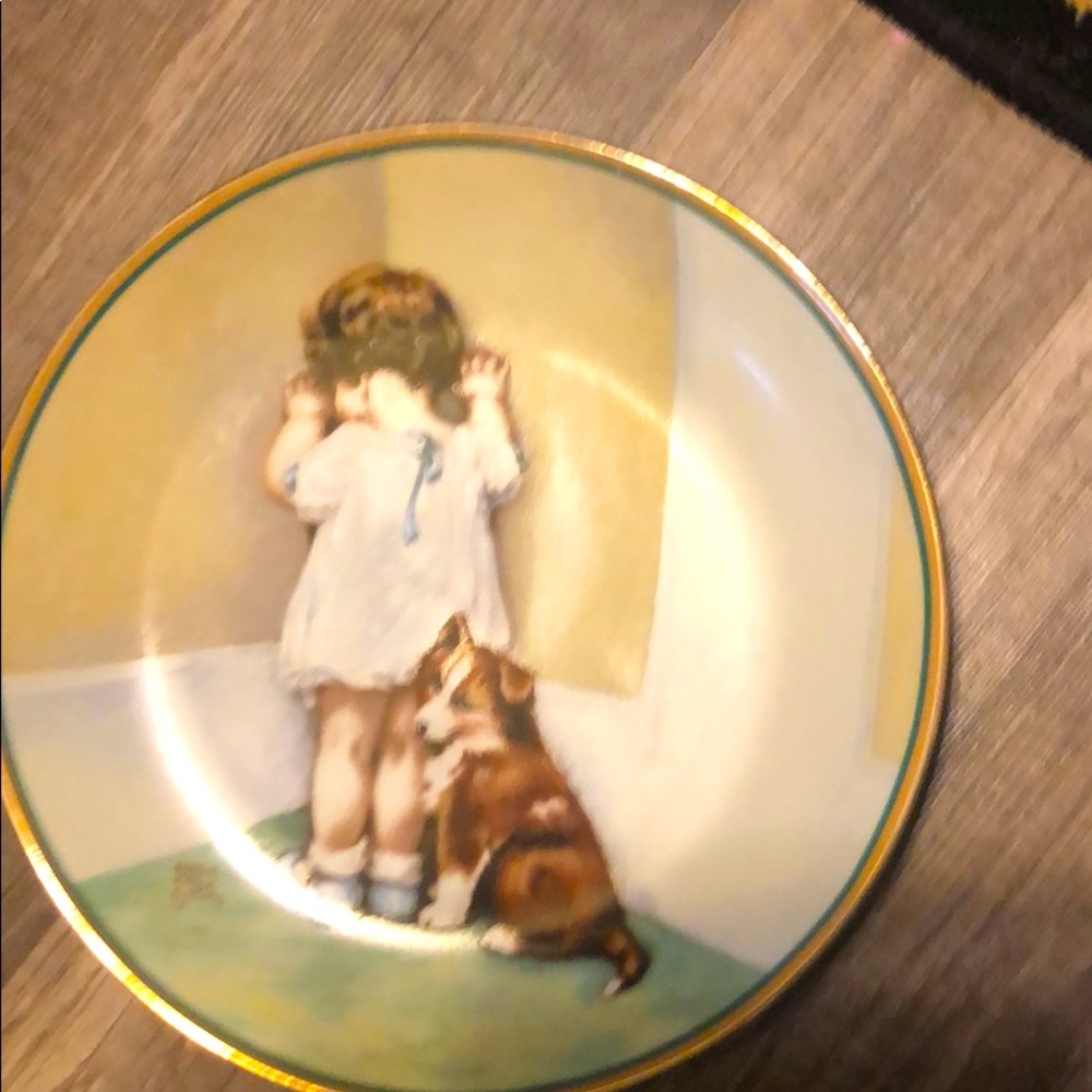 Vintage Disgrace plate by The Hamilton Collection